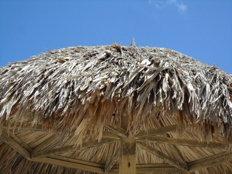Palapa Beach Umbrella Eagle Beach Noord Aruba
