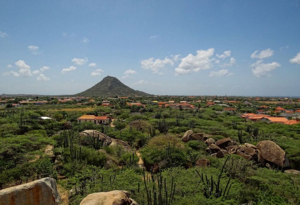Aruba-Hooiberg-2013
