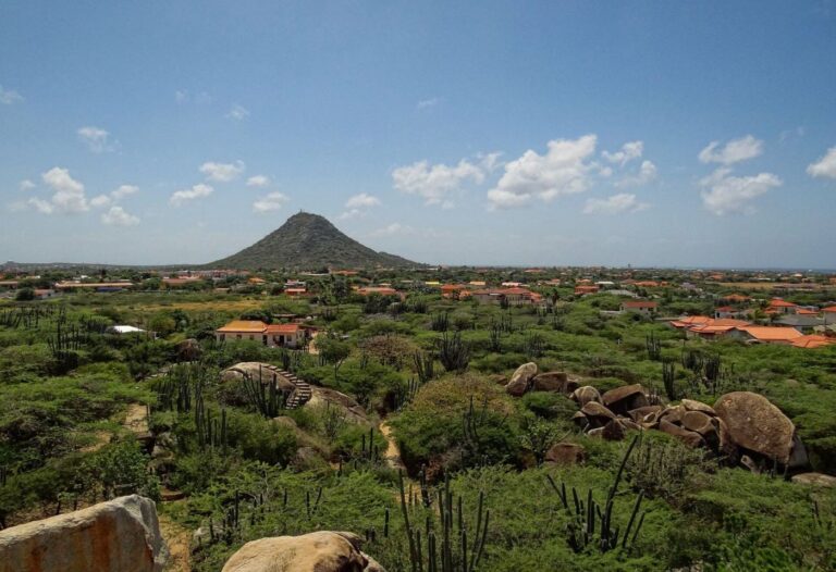 Aruba-Hooiberg-2013