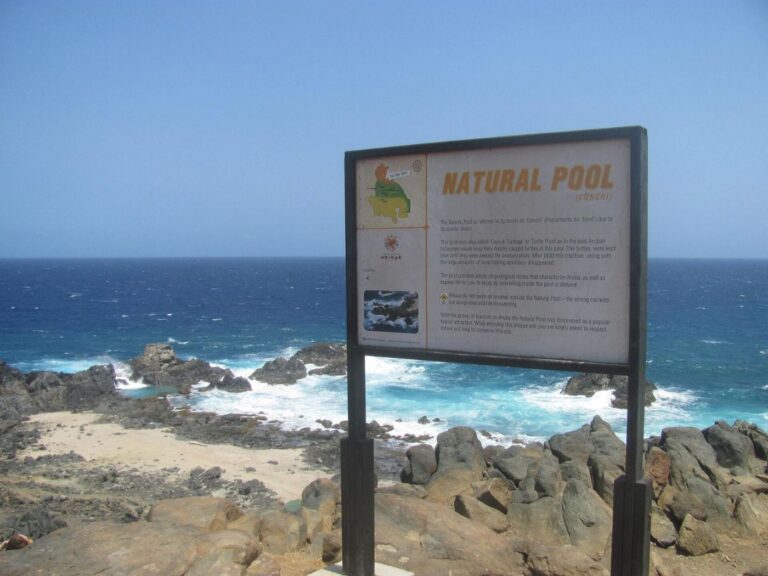 NaturalPoolAruba