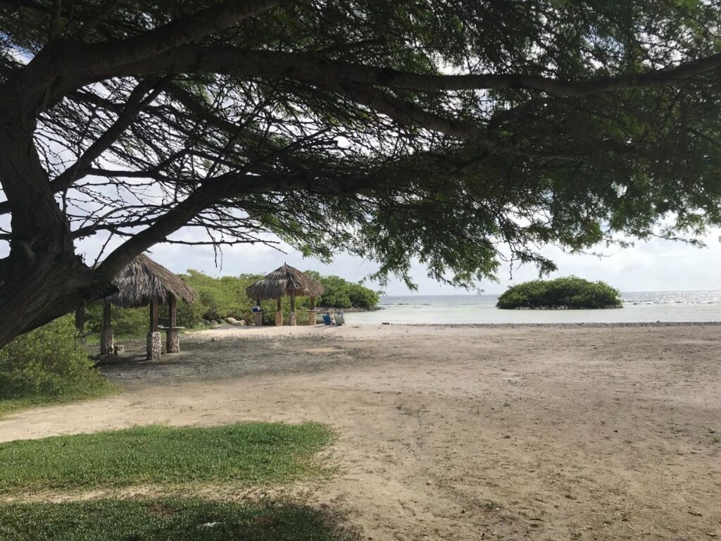Beach view Mangel Halto 11 37 59 947000