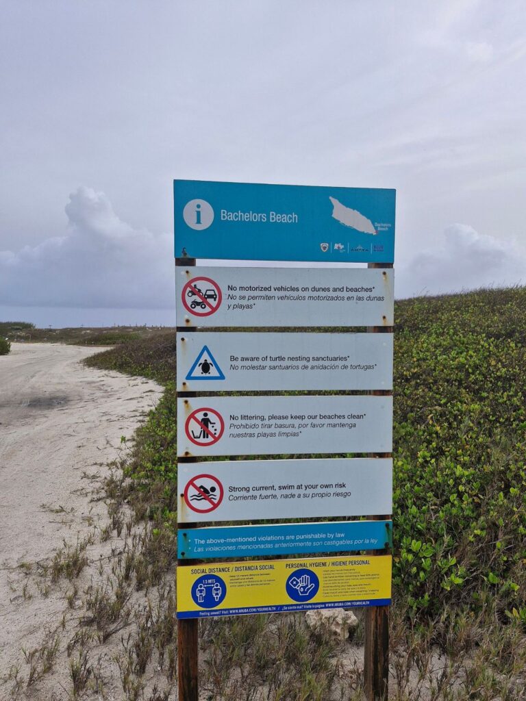 Plachi Bachelor's Beach (Boca Tabla) San Nicolas Aruba 02