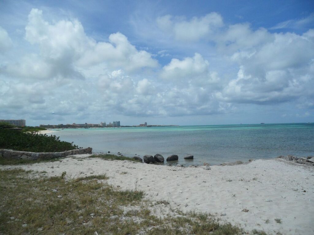 Hadicurari Beach Palm Beach View Noord Aruba