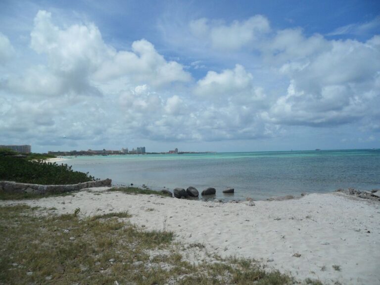 Hadicurari Beach Palm Beach View Noord Aruba