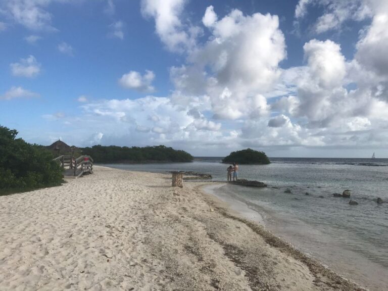 Beach view Mangel Halto 11 36 40 679000